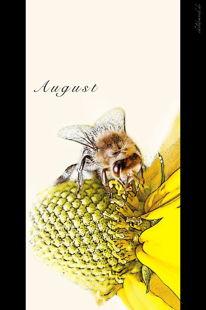 August